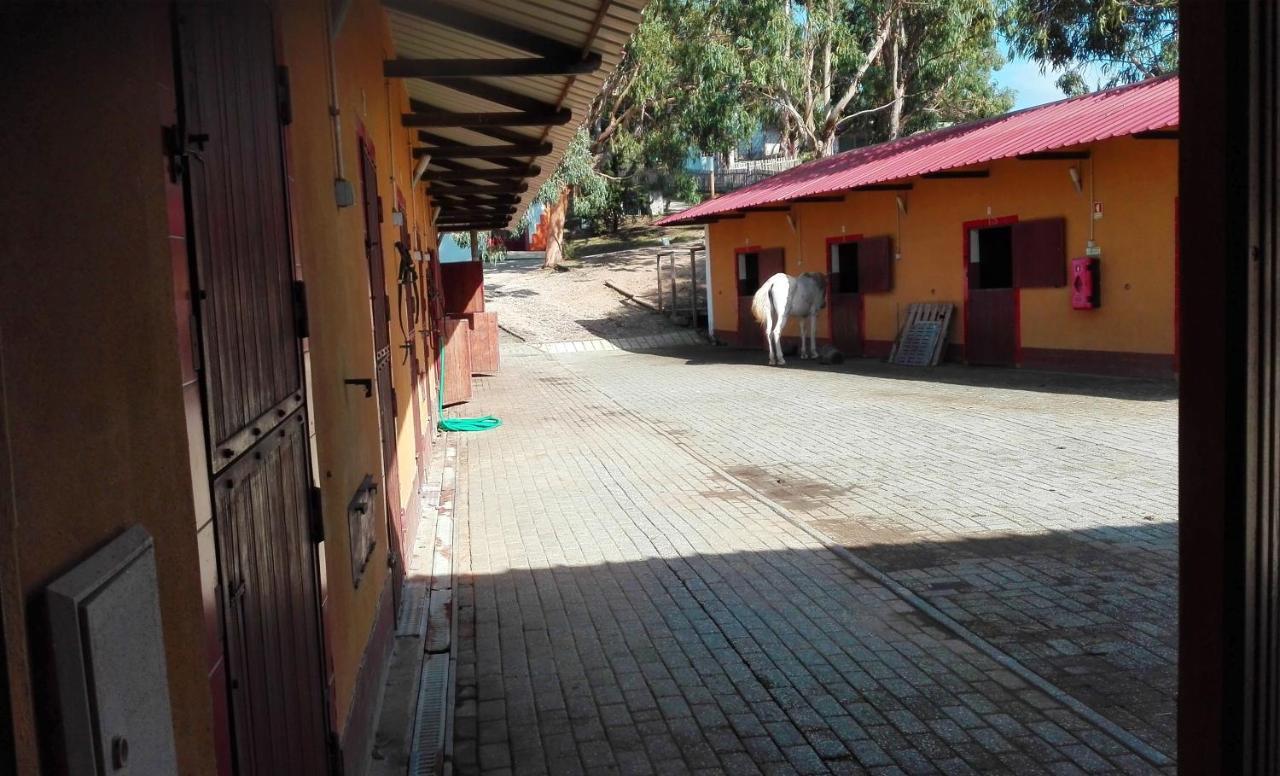 Herdade Da Hera Azambuja Ngoại thất bức ảnh